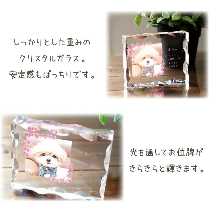 偉大な クーポン対象 ペット 位牌 ウェーブ クリスタル カラー ペット位牌 メモリアルグッズ ペット供養 犬 猫 うさぎ 小動物 ガラス かわいい おしゃれ お供え いはい いひ 49日 四十九日 モニュ Www Blossominstitutes Com 偉大な クーポン対象 ペット 位牌 ウェーブ クリスタル カラー ペット位牌 メモリアルグッズ ペット供養 犬 猫 うさぎ 小動物 ガラス かわいい おしゃれ お供え いはい いひ 49日 四十九日 モニュ Www Blossominstitutes Com