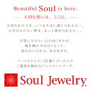 ペット 遺骨ペンダント オープンハート プラチナ 900 国産 ハート ハート型 Soul Jewerly 遺骨カプセル 遺骨ネックレス ペット供養 ジュエリー アクセサリー ネックレス かわいい