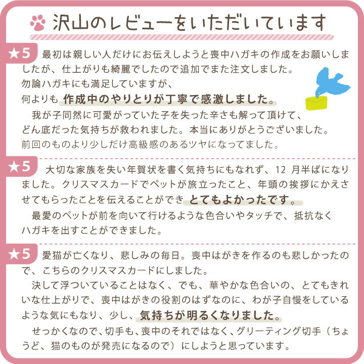楽天市場 ペット 喪中はがき 挨拶状 印刷 10枚 セット ネコポス対応 ペット用 クリスマス カード 喪中ハガキ 葉書 ハガキ メッセージ 手紙 名入れ 写真入り 犬 猫 うさぎ 鳥 ハムスター オーダー メモリアル かわいい おしゃれ オリジナル 虹の橋 ペット仏壇仏具の