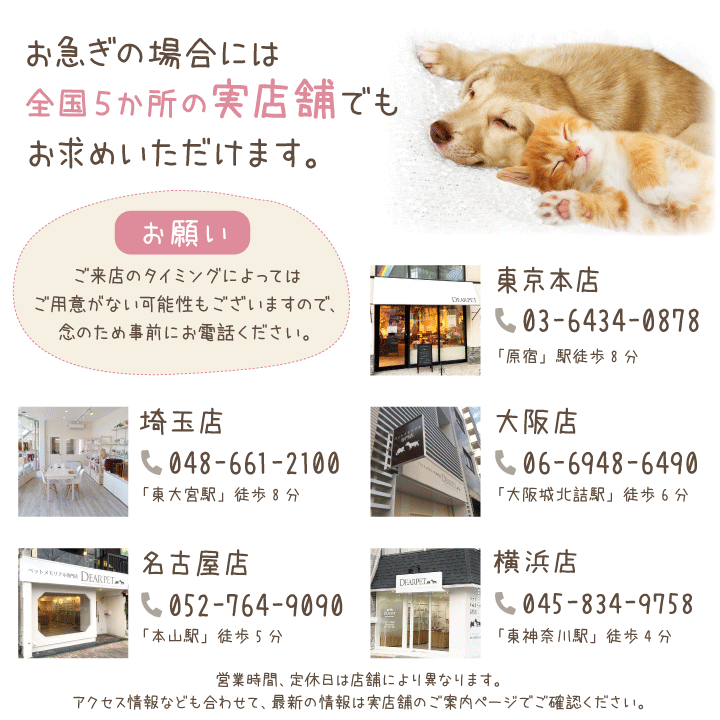 ペット 棺 棺桶 桐製 86×52×30cmサイズ 布団セットペット棺 ひつぎ かんおけ お悔やみ ペット メモリアル ペット葬儀 火葬 犬 猫  うさぎ 小さい 木製 釘なし 金属なし 完成品｜ペット仏壇仏具のディアペット