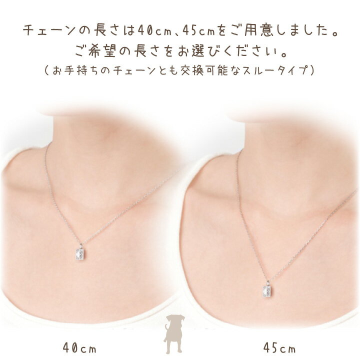 第1位獲得 ペット 遺骨ジュエリー クレスト ペンダント ネックレス シルバー925遺骨ペンダント 納骨 遺灰 骨入れ 遺骨入れ アクセサリー 犬 猫 ペット供養 Soul Jewelry シンプル かわいい おしゃれ Web限定 Www Brianhornback Com