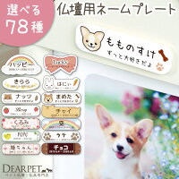 ペット仏具 選べる78種 イラスト ネームプレート 両面テープ付 ※仏壇別売り 【ネコ...