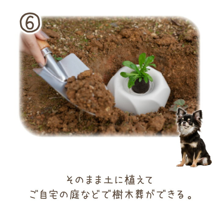 楽天市場 ペット骨壷 土に還る はなおり 骨壺 ペット供養 メモリアルグッズ 遺骨 ケース 入れ物 ペット用 埋葬 土葬 樹木葬 プランター葬 お墓 49日 一周忌 庭 埋める おしゃれ 猫 犬 ペット仏壇仏具のディアペット
