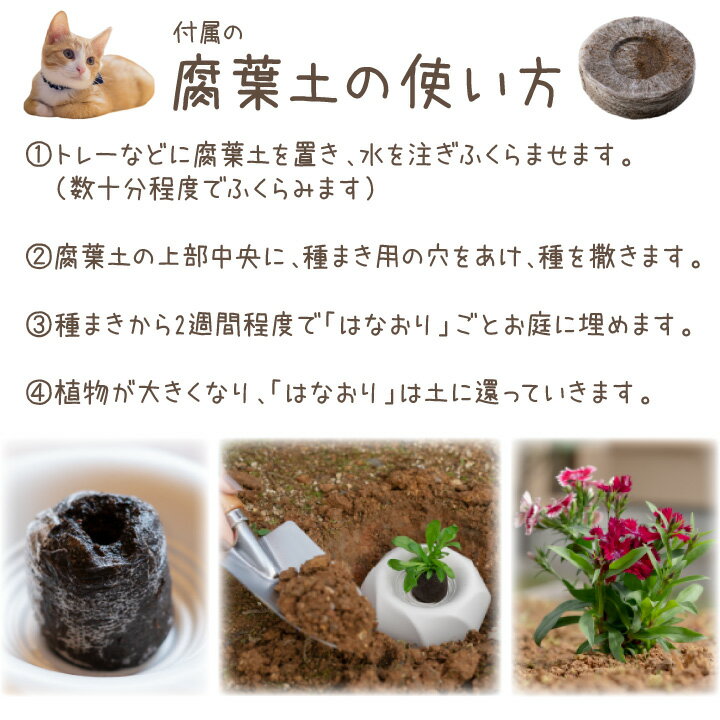 楽天市場 ペット骨壷 土に還る はなおり 骨壺 ペット供養 メモリアルグッズ 遺骨 ケース 入れ物 ペット用 埋葬 土葬 樹木葬 プランター葬 お墓 49日 一周忌 庭 埋める おしゃれ 猫 犬 ペット仏壇仏具のディアペット