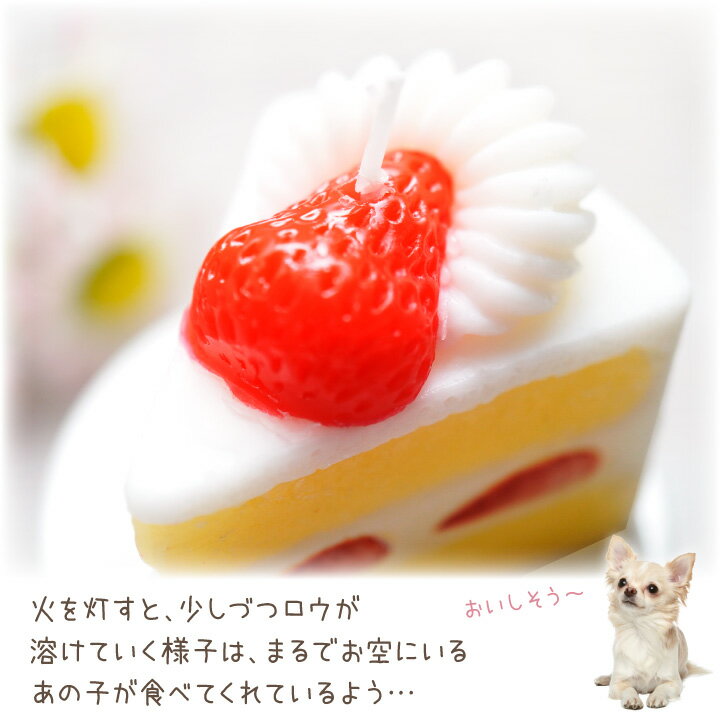 本物そっくりな かわいいショートケーキのミニキャンドルです あの子にぴったりのかわいいお供え物としてペット仏壇にお供えして ご供養にお役立てください ペット仏具 ショートケーキ キャンドル ミニ 本物そっくり かわいい フード お供え ペット仏壇 ろうそく 沸騰