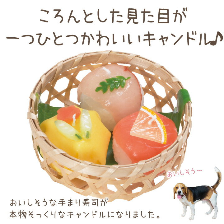 �ڥå�ʩ�� ��ޤ���� �����ɥ� �ޥ��� �̻� ������ �������� ��ʪ���ä��� �ڥå�ʩ�� �������� ���襤�� ������ ���� ����� ̿�� �ڥå��� ���� ���� �Ƥޤ���� ���Ϥ� ���� ������