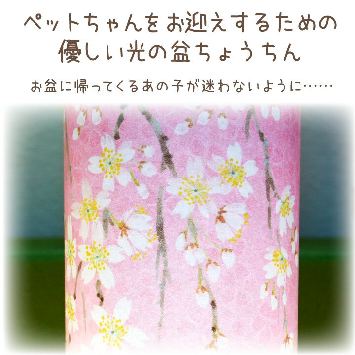 和紙でていねいに手作りした お花柄のスマートなちょうちんです 光触媒加工がされているので ブランドのギフト 祈りの場を明るく照らしながらお部屋の空気をきれいにしてくれます ペット供養 盆提灯 ライト 桜 芙蓉 光触媒 除菌 殺菌 防臭 国産 盆ちょうちん 和風 和紙