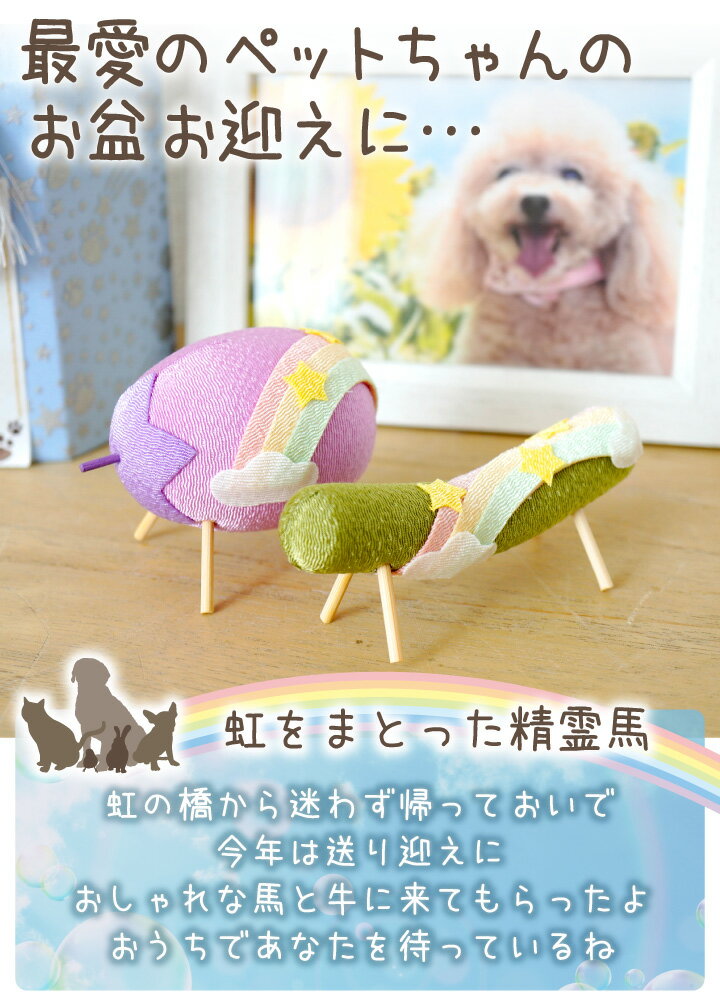 �ڥå��� ���߶��� ������ �ѥ��ƥ� �����ϡ��� ���߾��� ����ѥ��� ���å� ��ʪ ���夦�� �ʤ� �������� ���� ���� �� ǭ ������ ���襤�� �ߥ� ������ ������� �ڥå�ʩ�� ���ζ� 57-164