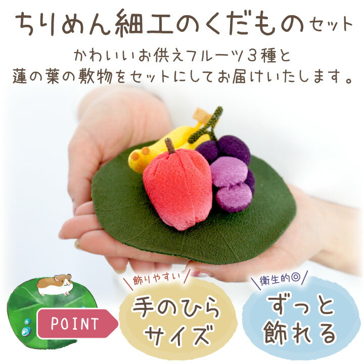 �ڥå��� ������ ��ʪ �ե롼�� ���å� �� ϡ���� �� ������ʪ ��ʪ ���� �� ǭ ������ �ϥॹ���� ���� �¥���� �ߥ˥��奢 ������ ���襤�� ������� �ڥå�ʩ�� ���ꥢ�륰�å� ����ʪ ���� 57-23