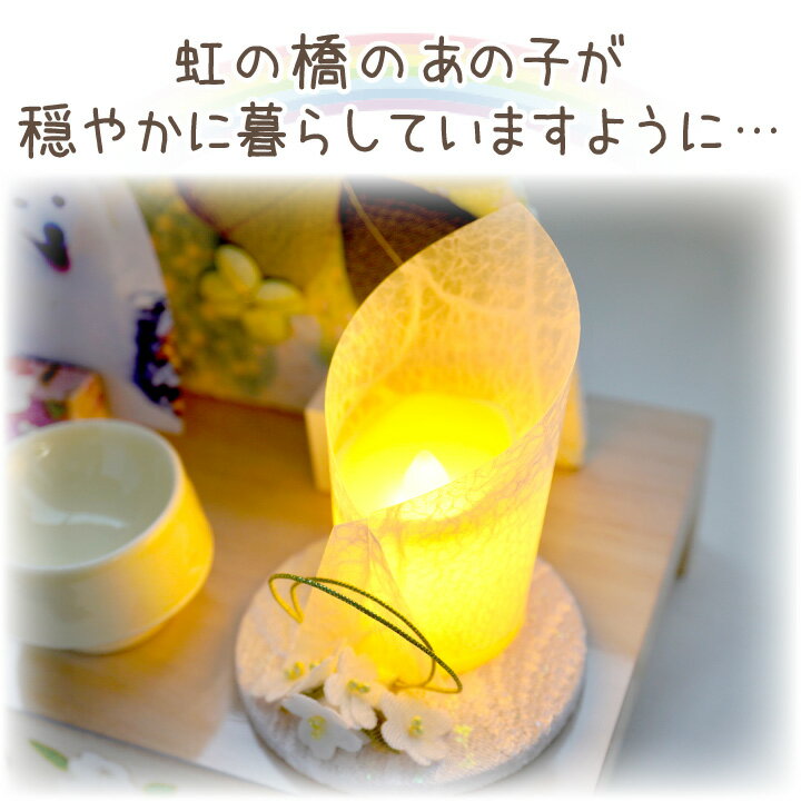 �ڥå�ʩ�� ���Ӽ� LED �����ɥ� �ŻҤ������� ���� ������ �� ���� ������ ������ Ǽ��Ʋ �ڥå�ʩ�� �����ɥ쥹 Ĺ���� �ڥåȶ��� �� ǭ ���襤�� ������� ������ 57-66