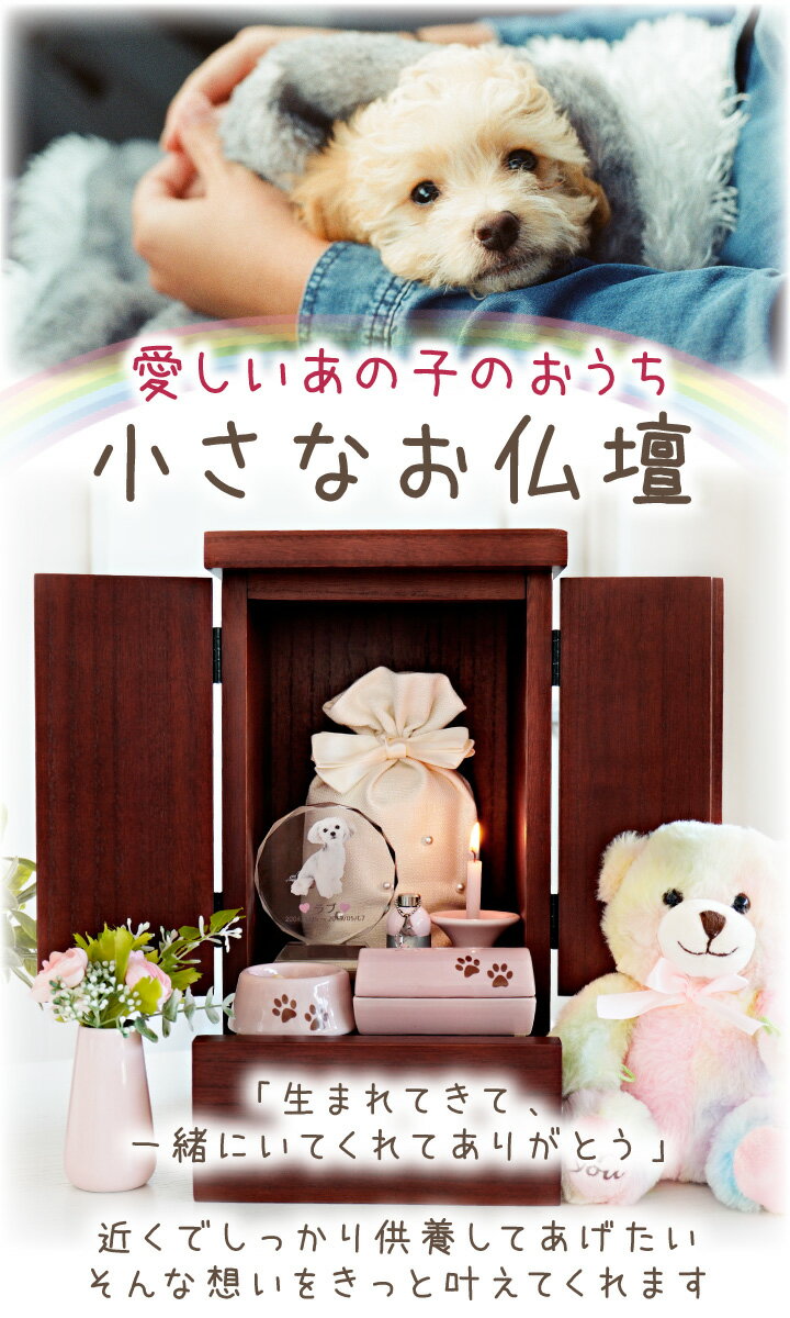 �ڥå�ʩ�� ���祳�顦�ߥ� �֥饦�� ����ѥ��� �ߥ� ���� ���Ф� �� ���� 4�� 3�� 2�� �ڥå���ʩ�� ���ꥢ�� ���襤�� ������� ������ S������ �ڥåȶ��� ���ۼ�Ǽ �� ǭ ������ ������ ����ʩ��