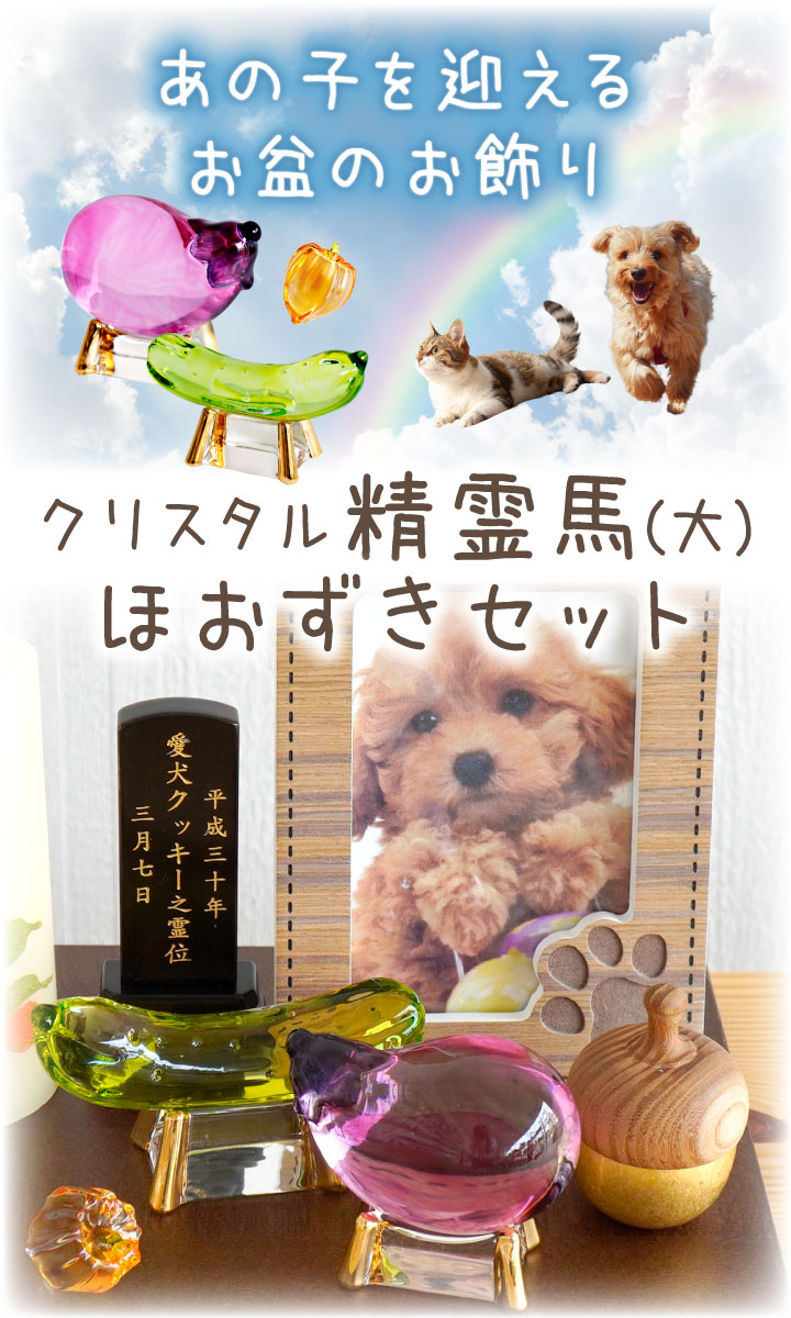 �ڥå� ���� ���ꥹ���� ������ �� & �ۤ����� ���å� ���饹 ���߶��� ���߾��� ���夦�� �ʤ� ���餭�� 57-186 49-561 ��ʪ �������� �ڥåȤ��� ���ޤ� ���� ���� �� ǭ ���襤�� ����� ������� �ڥå�ʩ�� �� Ǽ��Ʋ cobj�ڳ�ŷ������ʡ�