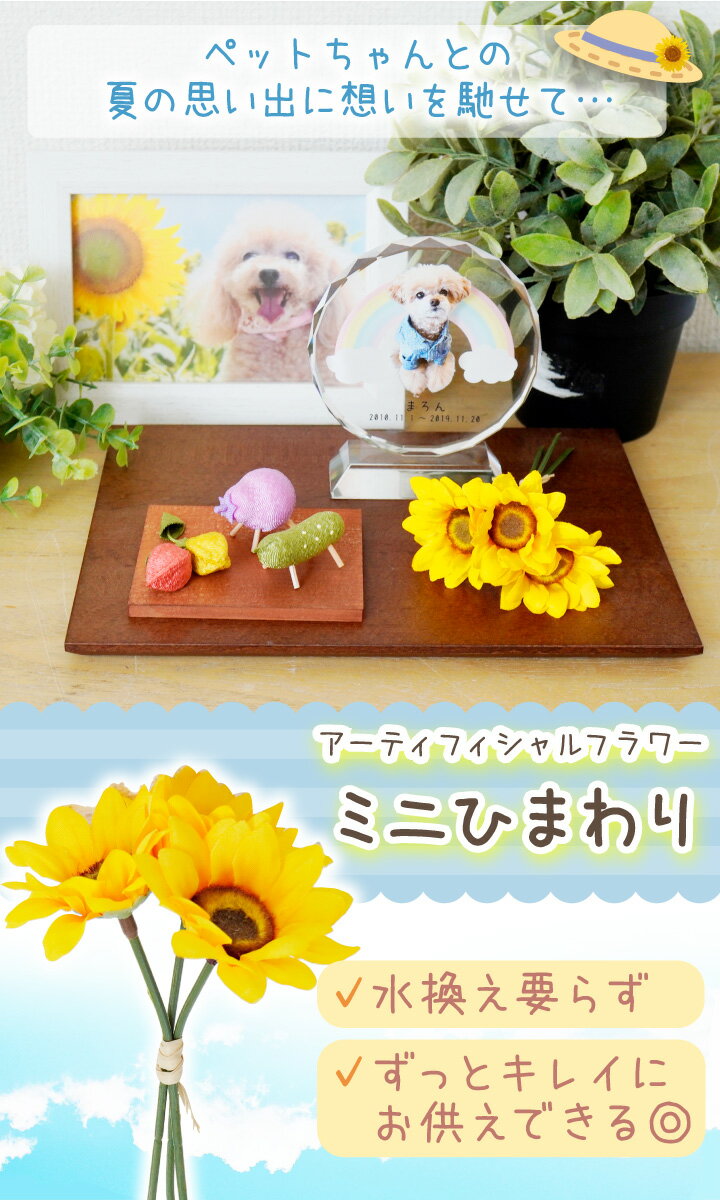 �ڥå�ʩ�� ������ �Ҥޤ�� ¤�� �ԥå� 1«3�ܥ��å� �����ƥ��ե������ե� �ߥ� �� ���� �ҥޥ�� ������ �� ǭ ������ �ϥॹ���� ���� ��ưʪ ���襤�� ������� ������ ���� ������ £��ʪ ���ե� �������