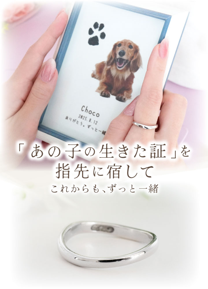 ペット 遺骨 リング 指輪 DEAR ディア ...の紹介画像2