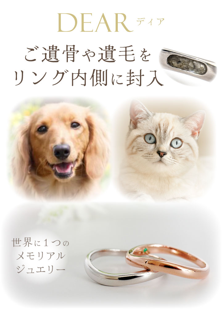 ペット 遺骨 リング 指輪 DEAR ディア ...の紹介画像3
