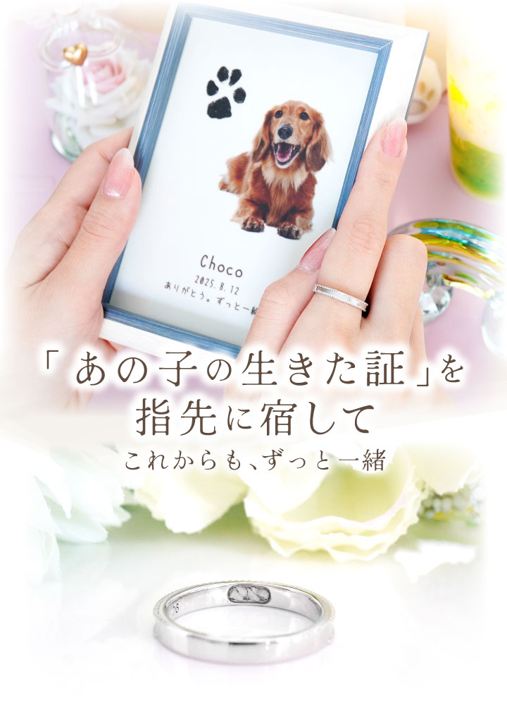 ペット 遺骨 リング 指輪 DEAR ディア ...の紹介画像2