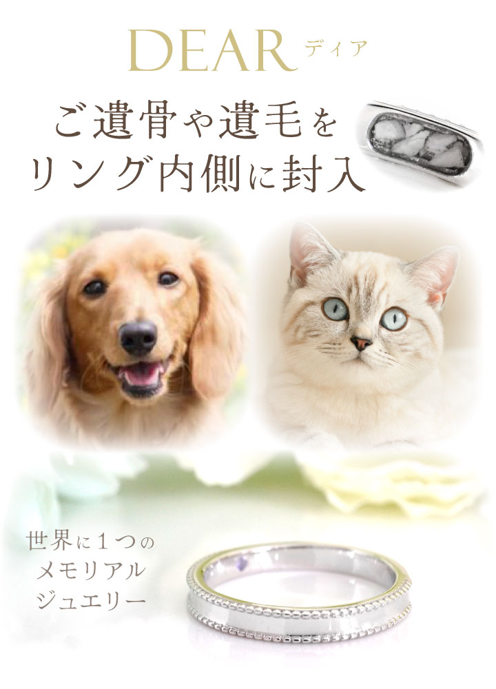 ペット 遺骨 リング 指輪 DEAR ディア ...の紹介画像3