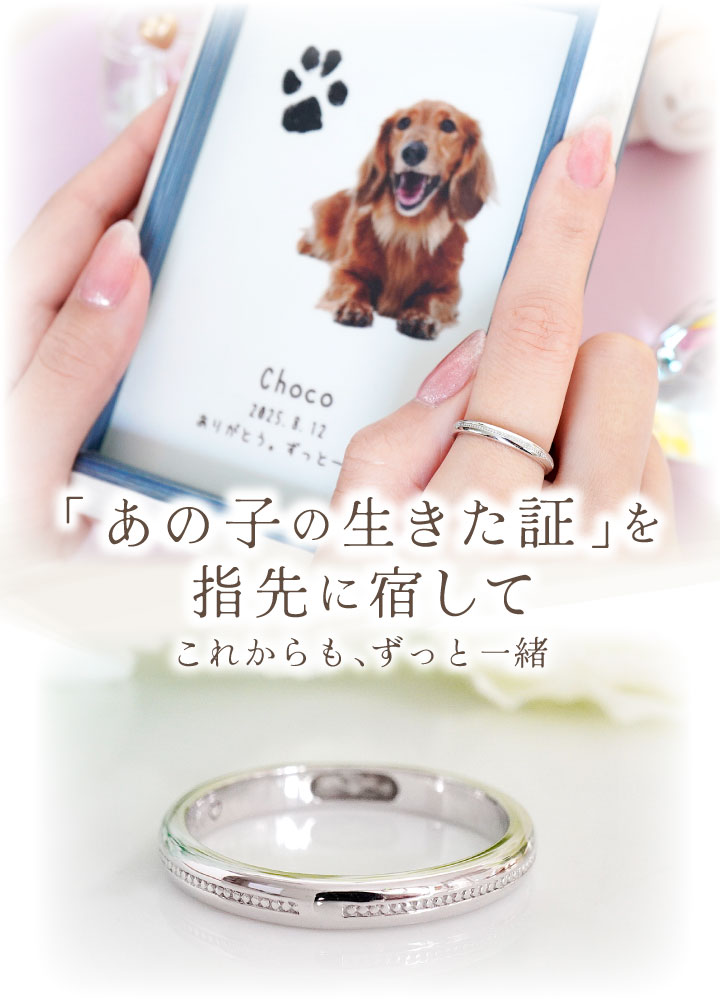 ペット 遺骨 リング 指輪 DEAR ディア ...の紹介画像2