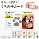 ペット 写真 足あと プリント うちの子カード 肉球 名入れ オーダーメイド メモリアルグッズ 虹の橋 記念品 【ネコポス送料無料】ペット供養 小さい コンパク...
