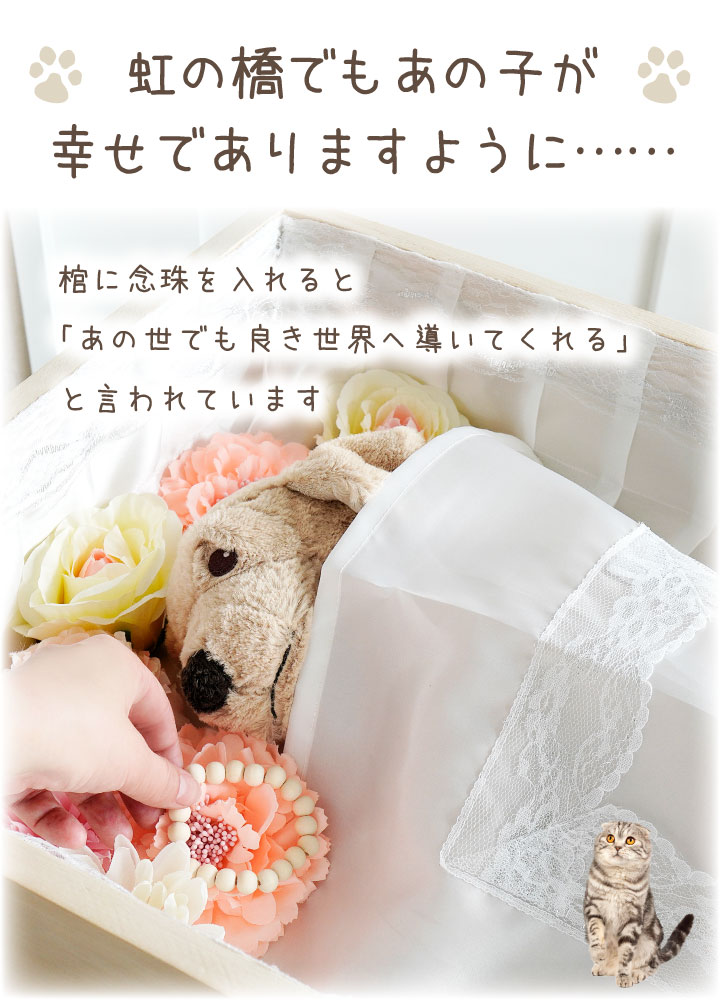 �ڥåȶ��� ������ ǰ�� ���� ���� �ڥåȿ��� �ڥå�ǰ�� ���ꥢ�륰�å� �ڥå��� ���� �ڥå��� ������ �ڥͥ��ݥ��б��� ������ �ߥ� �ڥå�ʩ�� �� ǭ ������ �ϥॹ���� ���� ʸĻ ������ ¨��ȯ�� �ޤ�