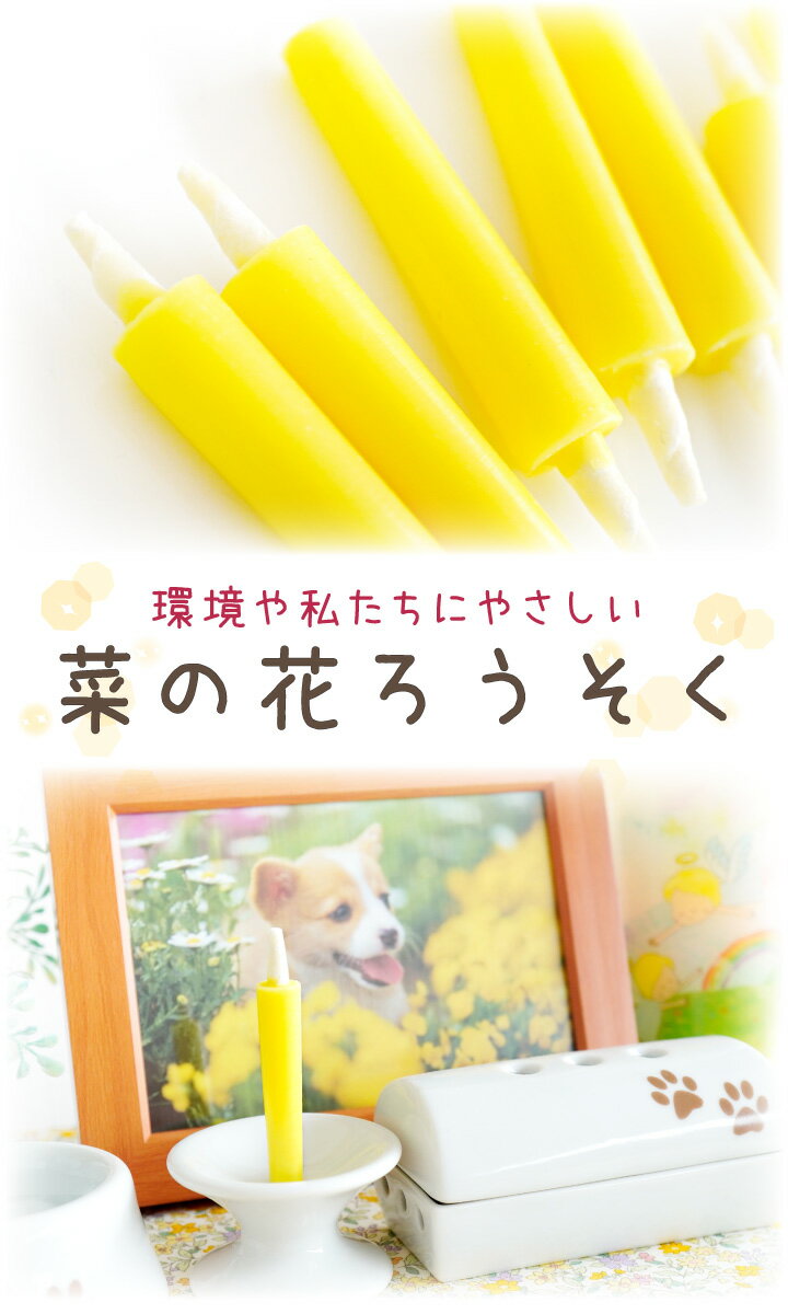 �ڥå�ʩ�� �ڤβ� �������� 50������ Ʀ �ߥ��� û�� �������� �ڥå� Ȣ���� Ȣ����������� �������� ���� �ߥˤ������� �������� �ڥå��� �ڥåȶ��� ������ ������� �� ǭ ������ �����ɥ� ���襤�� £��ʪ ���ꥢ�륰�å� ��