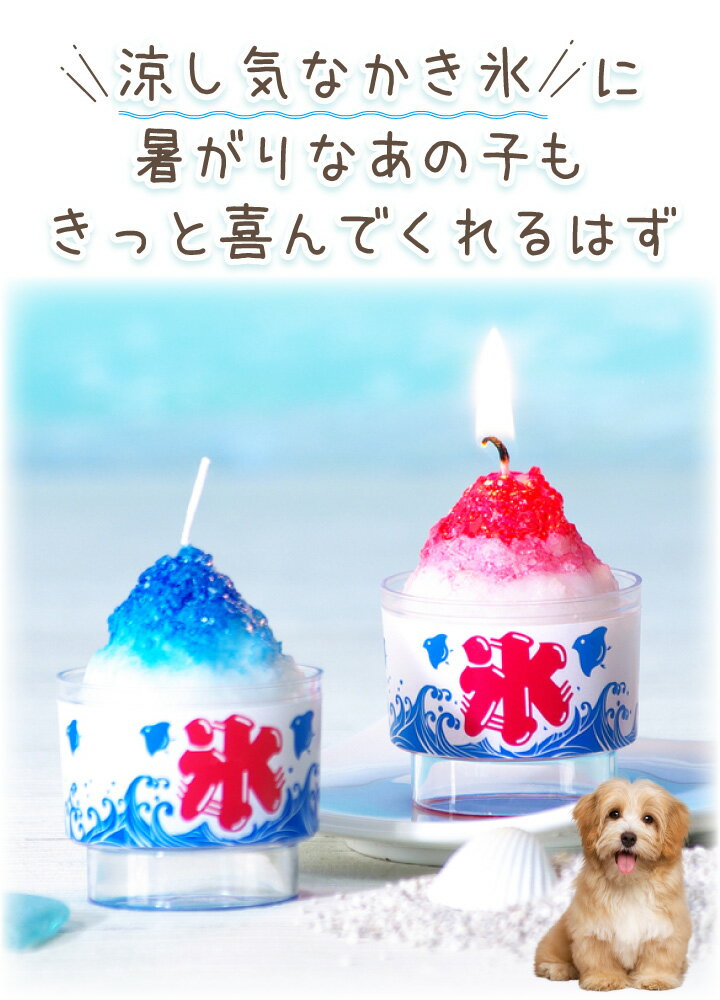 �ڥå�ʩ�� ����ɹ �����ɥ� �ߥ� �����ɥ� 2���� ������ ��ʪ���ä��� ���襤�� �������� ����դ� �� �ա��� �������� ������ �ڥåȶ��� �� ��� ̿�� �� ǭ ������ �ڥå��� �Ť���� ������ �֥롼�ϥ磻 ������