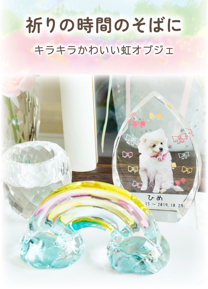 �ڥå��� ���餭�� ���ζ� ���֥��� �� ���ꥹ���� ���饹 ������ ��ʪ �ڥåȶ��� 49-591 �� �쥤��ܡ� �֤�ʪ �ڥåȶ��� �� ǭ ������ ���襤�� �ߥ� ������ ������� ���饭�� �ڥå�ʩ�� ���ꥢ�륰�å� cobj