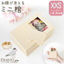 ペット用 棺 ミニ ペット 紙製 窓付き 小動物 XXS 極小 送料無料 即日発送 棺桶 火葬 ハムスター インコ シマリス ペット葬儀 ペット棺 ひつぎ ペッ...