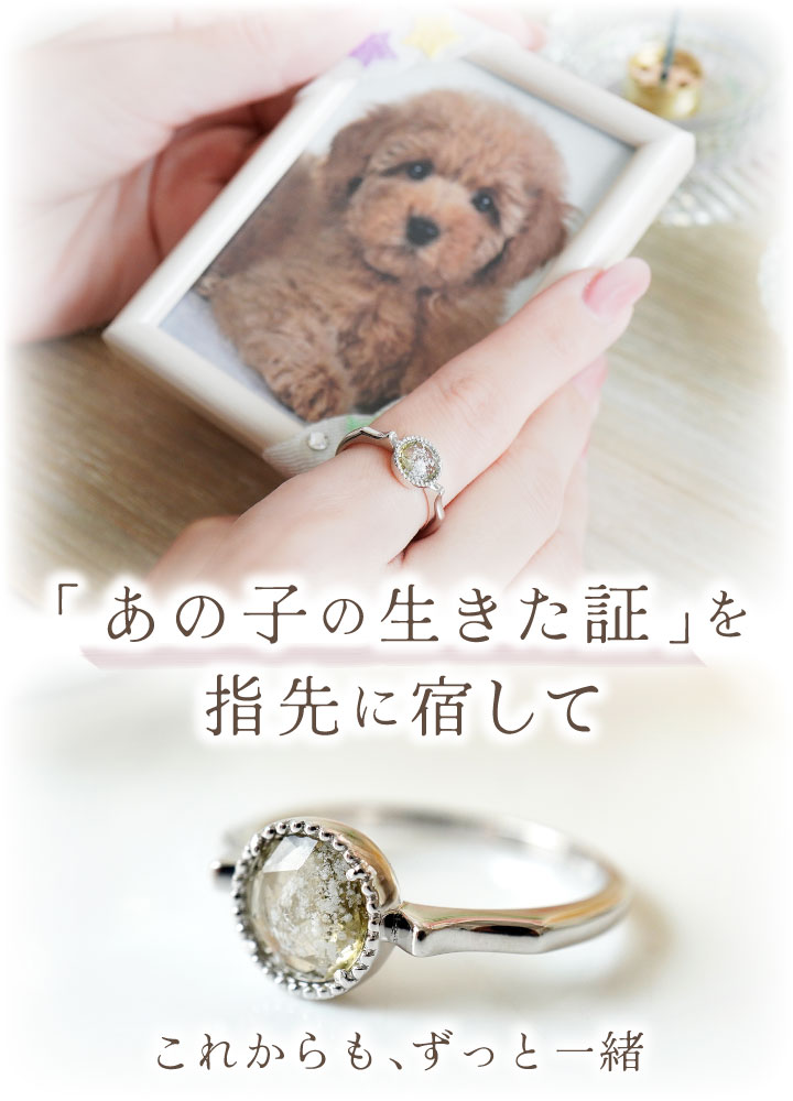 ペット 遺骨 リング 指輪 DEAR ディア ...の紹介画像2