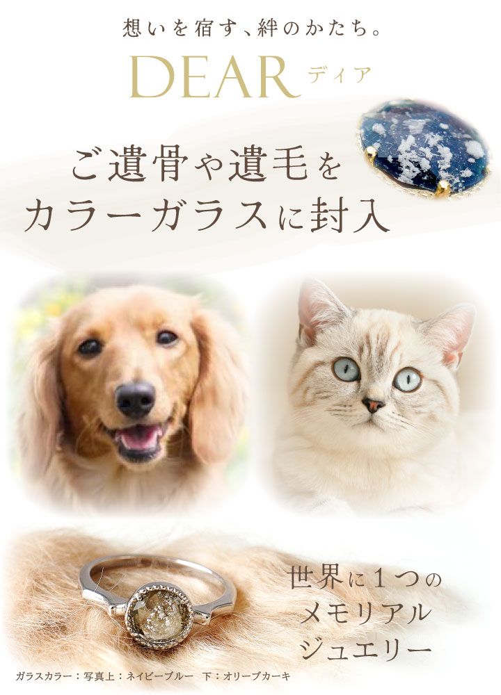 ペット 遺骨 リング 指輪 DEAR ディア ...の紹介画像3