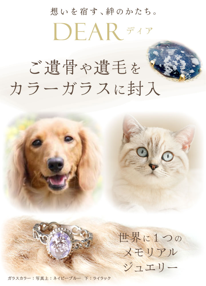 �ڥå� ��� ��� ���� DEAR �ǥ��� 