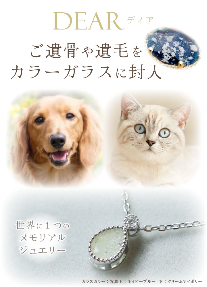 ペット 遺骨 ネックレス DEAR ディア T...の紹介画像3