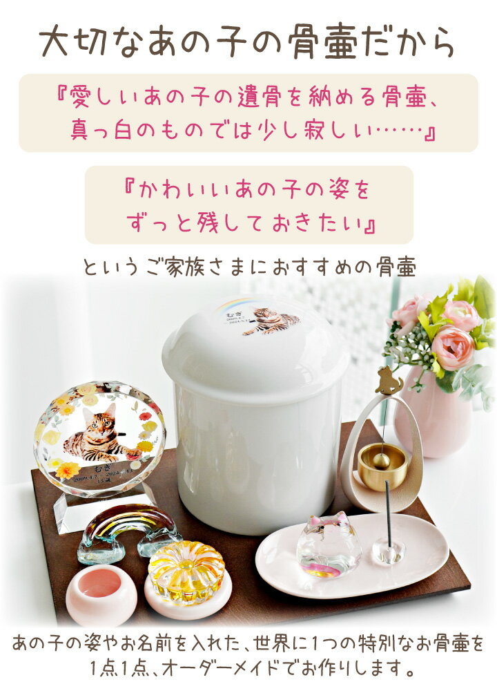 �ڥåȹ��� ���ζ� ���� 3.5�� ̾���� �̿� �ڥåȹ��� ǭ ������ ����� �衼�����㡼�ƥꥢ ��� �Ĥ� ������ ������ ���� ���襤�� ���饹�� ��� �������� �Ƥ��դ� �ڥåȶ��� �ڥåȥ��� ���ꥢ�륰�å� �������� �� �̿����� ���ζ�����