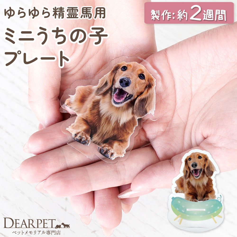 樂天商城 - 【オプション】お盆セット ゆらゆら 精霊馬 用 ペット 写真で作る ミニ うちの子プレート アクリル お飾り お供え お盆飾り 【ネコポス対応】 写真 フォト プレート 飾り ミニ コンパクト メモリアルグッズ かわいい オリジナル