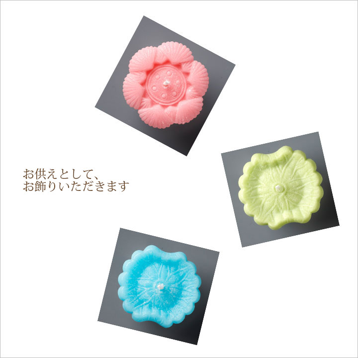 �ڥå�ʩ�� �����ۻ� ���������� ������ʪ�ڥå�ʩ�Ť� �ڥå�ʩ��� £��ʪ ���� ���� �� ǭ �ڥå� ���ꥢ�� ������