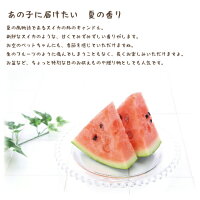 スイカキャンドル