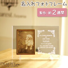 https://thumbnail.image.rakuten.co.jp/@0_mall/dearpet/cabinet/item9/f00sf23-4.jpg