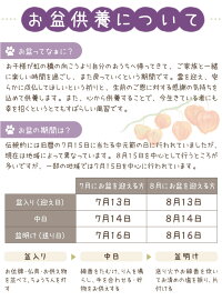 【お盆】ペット供養葵(小)肉球提灯(ちょうちん)ペット仏具盆2017新盆犬猫供養ペットちょうちんぼんぼりお供え物