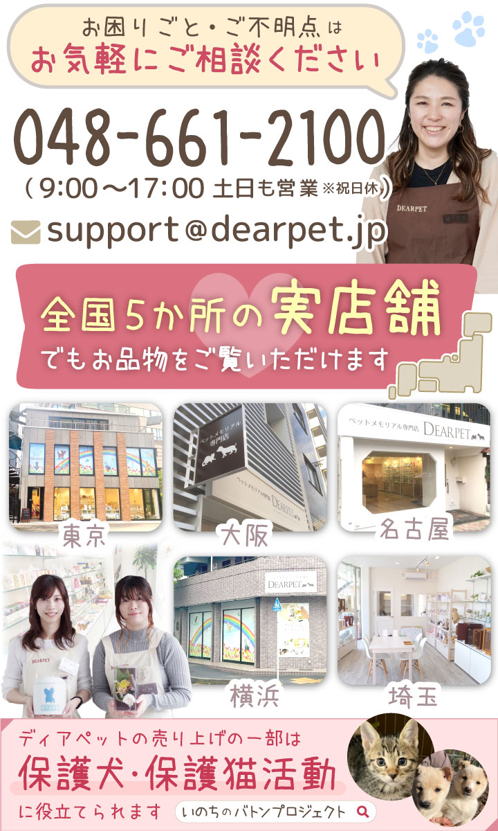 楽天市場 クーポン有 楽天限定価格 遺骨ペンダント 刻印入り 名入れ ステンレス ガラス管入り 二重構造で安心 100種の絵文字 ネコポス発送 防水 ペット仏具 カプセル ネックレス 犬 猫 ペット 骨壷ペンダント 分骨 手元供養 骨 ケース キーホルダー ペット