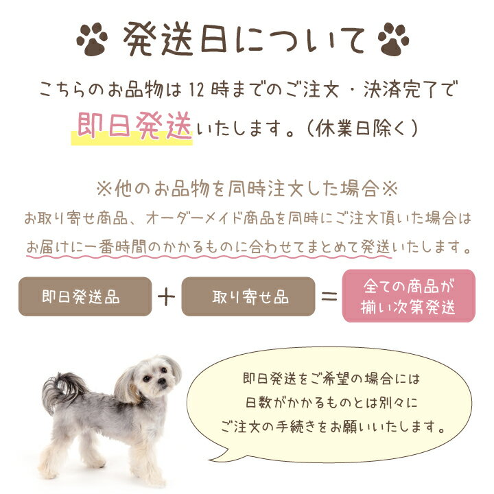 ペット 骨壷 白並 4寸 直径約12cm壺 犬...の紹介画像3