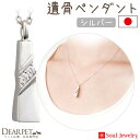 【今だけP5倍】ペット 遺骨ペンダント ノーブル シルバー 国産 ジュエリー Soul Jewerly 遺骨カプセル 遺骨ネックレス ペット供養 遺骨ジュエリー アクセサリー ネックレス かわいい ペットロス ペットメモリアル 犬 猫 鳥 うさぎ