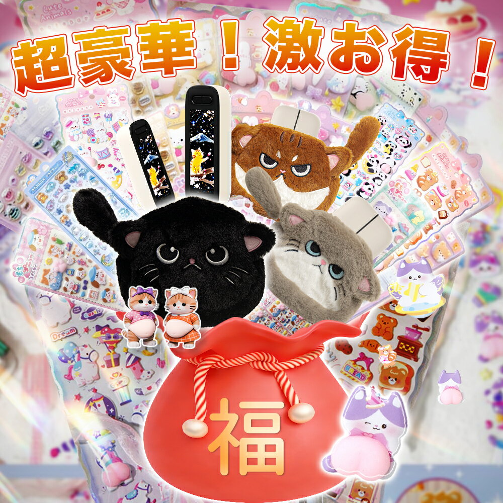 ＼在庫一掃！激お得福袋／充電式カイロ あんか カイロ 電気あんか 大容量10,000mAh 40～65℃ LED電量確認 カイロ 充電式 カイロ 繰り返し 使える 2本セット 分離式 超軽量約114.2g ギフト プレゼント 通勤 通学 オフィスの商品画像