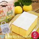 夏季限定 レモンカステラ デカルネロカステ DE CARNERO CASTE 羊のカスティーリャ カステラ ギフト 贈答 プレゼント はちみつ 産休 おやつ 内...