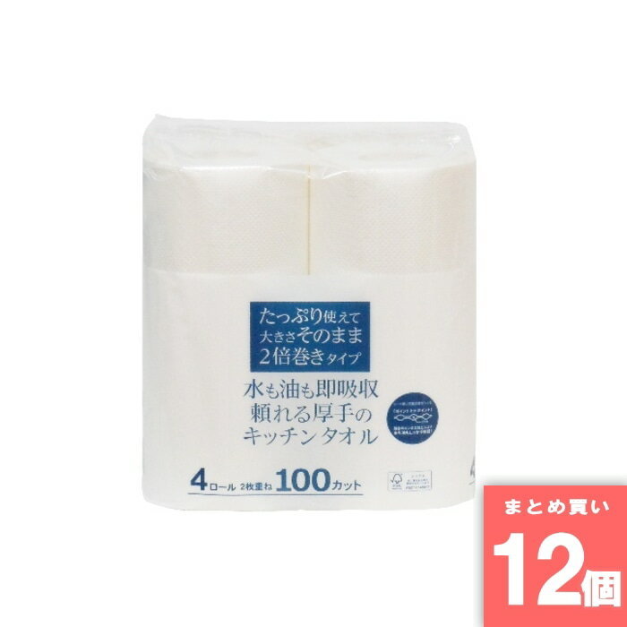 イデシギョー [取寄10][まとめ買い]【12個セット】キッチンタオル4ロール100カット [4589458485608]