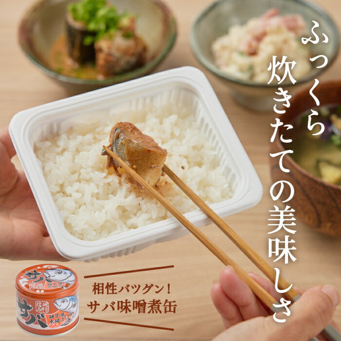 綿半プライベートブランド [取寄10]【1箱/36個入り】[まとめ買い]ふっくら粒立ちごはん 180g [4589458490589]