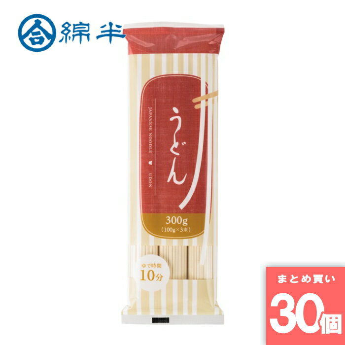 Houtou Noodle - うどん 300g 綿半プライベートブランド [まとめ買い]【30個セット】 [取寄10][4589458499681]