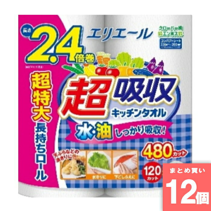 大王製紙 エリエール 超吸収キッチンタオル 120カット×4ロール 大王製紙 [まとめ買い]【12個セット】 [取寄10][4902011107760]