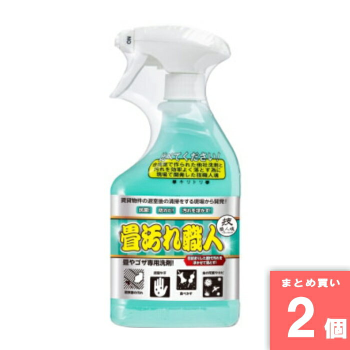 技職人魂工房 [取寄10][まとめ買い]【2個セット】技職人魂 畳汚れ職人 500ml [4560302530613]
