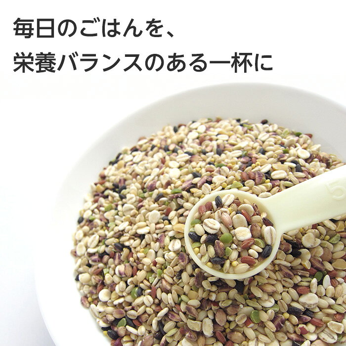 でっカートの十六穀ごはん 雑穀米 十六穀米 送料無料 個包装 小分け 25g×22包入 食物繊維 綿半プライベートブランド [まとめ買い]【8個セット】｜アングル2