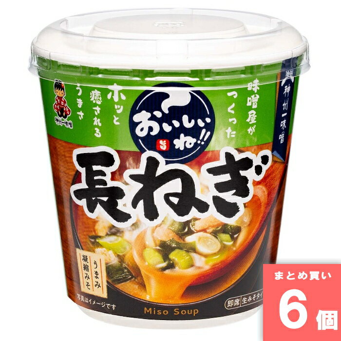 Rakuten - おいしいね！長ねぎ 1食 [まとめ買い]【6個セット】 [取寄10][4902703032936]